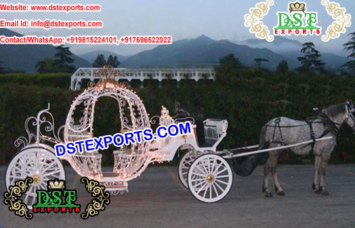 Wedding Lighted Cinderella Carriages