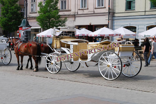 TOURIST  HORSE  DRAWN  BAGHI