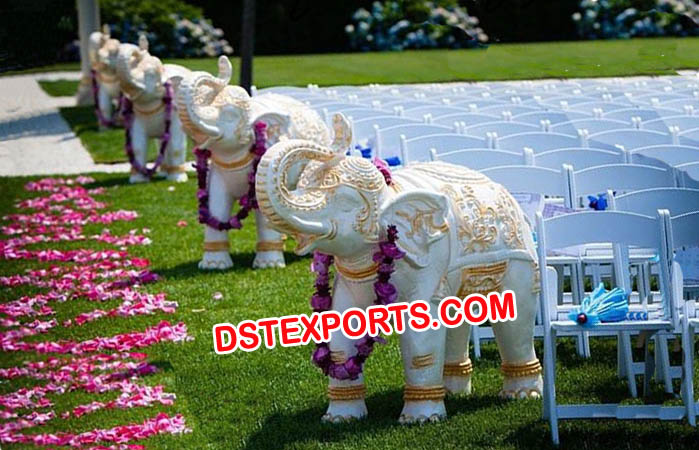 Indian Wedding Welcome Elephant