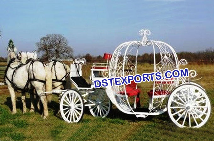 Tourist Cinderella Horse Carriage