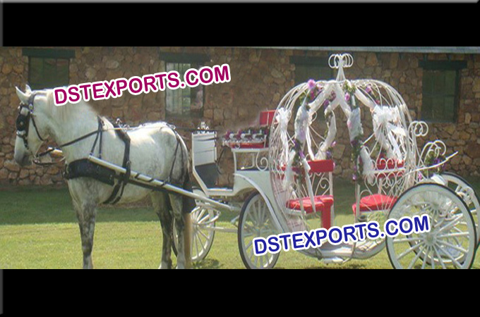 Christmas Cinderella Horse Carriage