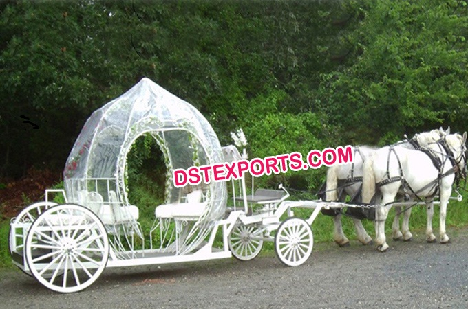 Cinderella Pumpkin Covered Carriage