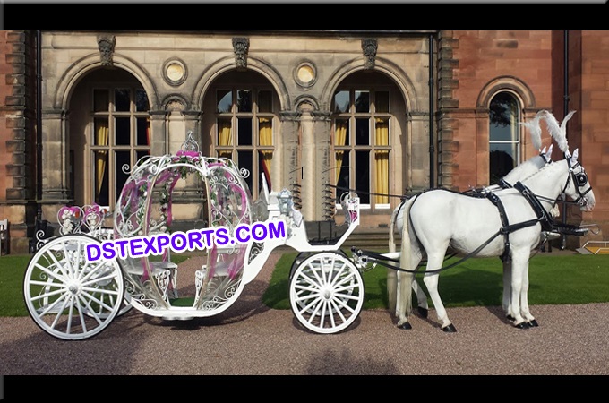Royal Horse Drawn Cinderella Buggy Carriage
