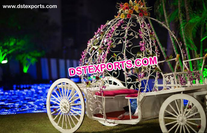 Beautiful Bride and Groom Carriage