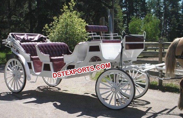 Horse Drawn Carriages Tours