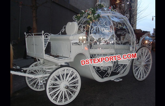 Lovely Cinderella Horse Drawn Carriage