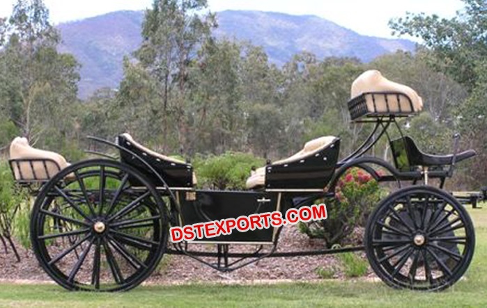 Horse Drawn Carriage