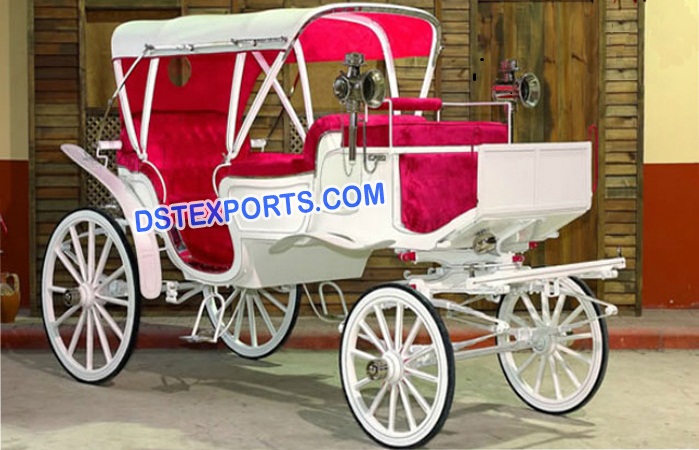 Indian Wedding Royal Victoria Carriage Buggy