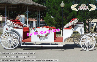 New Vis a Vis Limo Horse Drawn Carriage