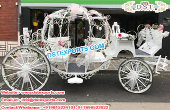 Dreamy Cinderella Horse Carriage for Wedding