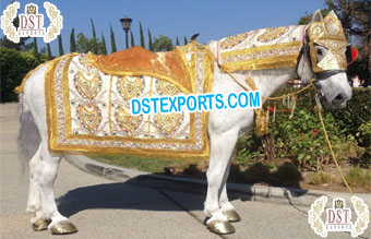 Decorated White Gold Horse Costume/Attire