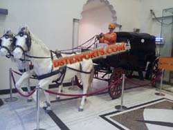 INDIAN WEDDING HORSE BAGHI STAGE