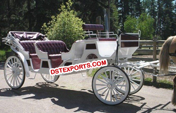 Horse Drawn Carriages Tours