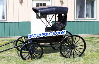 Pony Driven Small Buggy Carriage