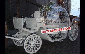 Lovely Cinderella Horse Drawn Carriage