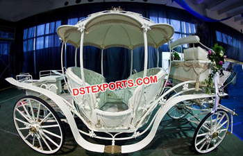 Royal Princess Wedding Horse Drawn Carriage