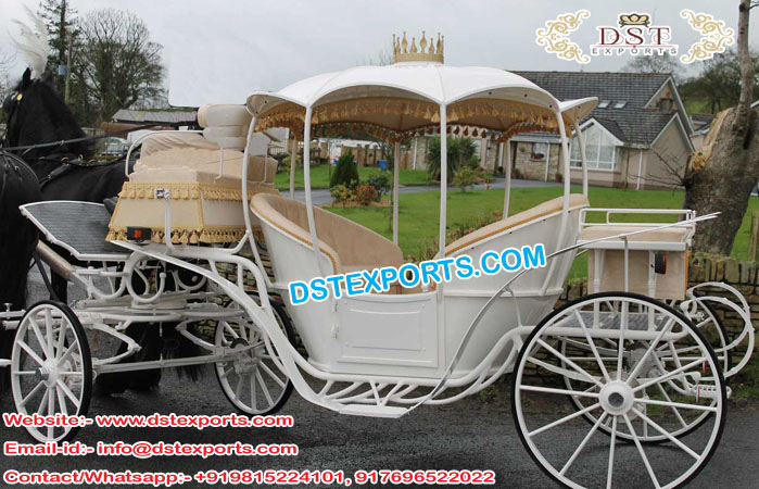 Royal Cinderella Horse Carriage with Hood