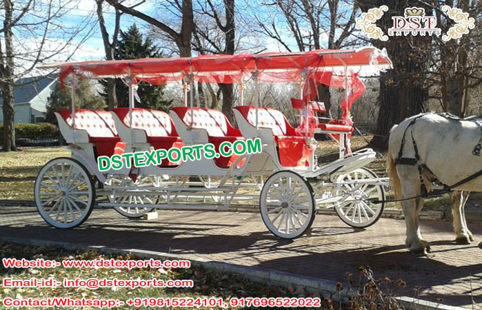 American Tourist Horse Buggy for Sale