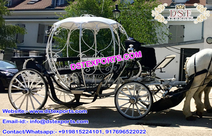 Magnificent Cinderella Horse Carriage for Sale