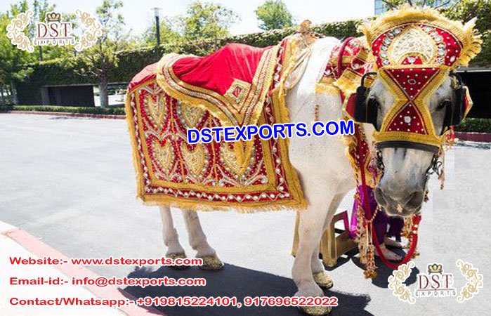 Indian Heavy Embrodried Horse Costume