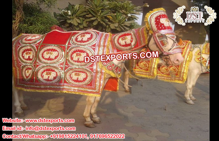 Indian Wedding Embroidered Horse Attire/Costume