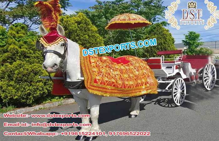 Indian Wedding Baraat Horse Costume Decoration