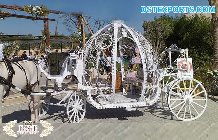 Christmas Wedding Cinderella Pumpkin Carriage