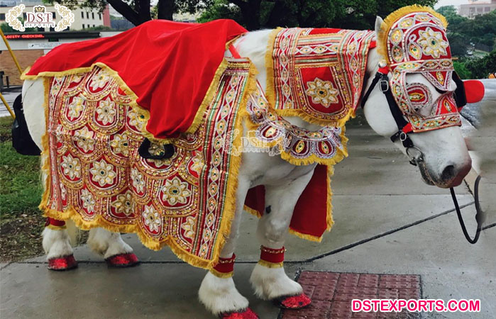 Horse Costume for Indian Baraat Ceremony