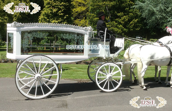 Modern White Horse Drawn Hearse Carriage