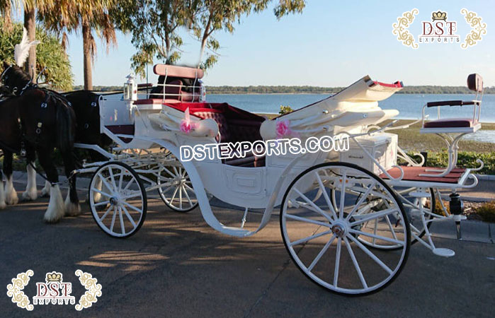 Amazing White Touring Vis A Vis Horse Carriage