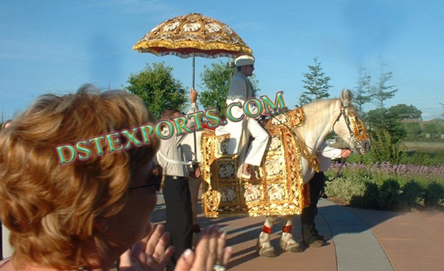 INDIAN BARAAT HORSE COSTUMES