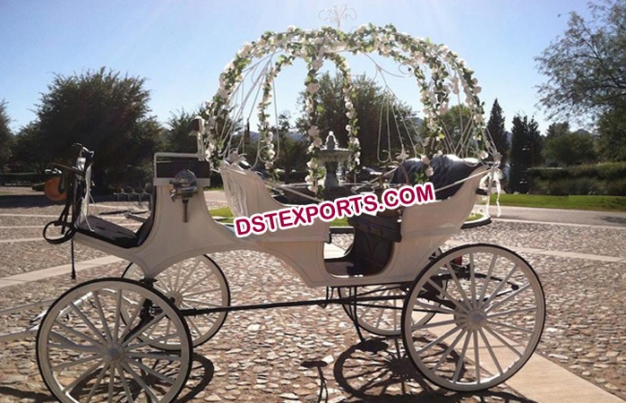 Beautiful Small Cinderella Carriage