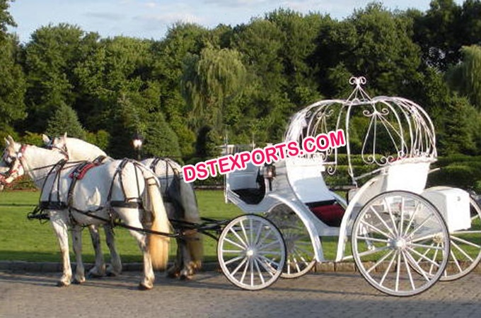 Wedding Pumpkin Cinderella Carriage