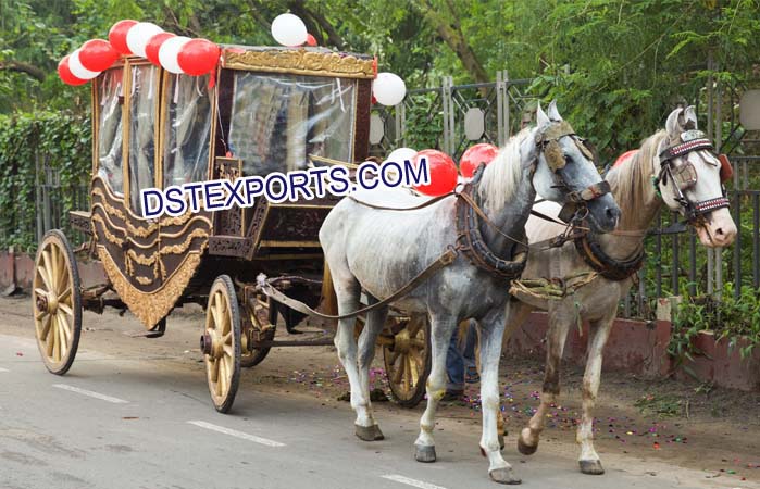 Beautiful Horse Drawn Covered Buggy Carriage