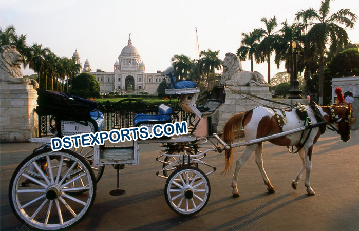 Indian Touring Horse Buggy