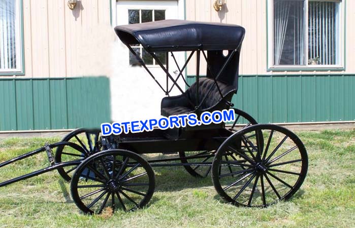 Pony Driven Small Buggy Carriage