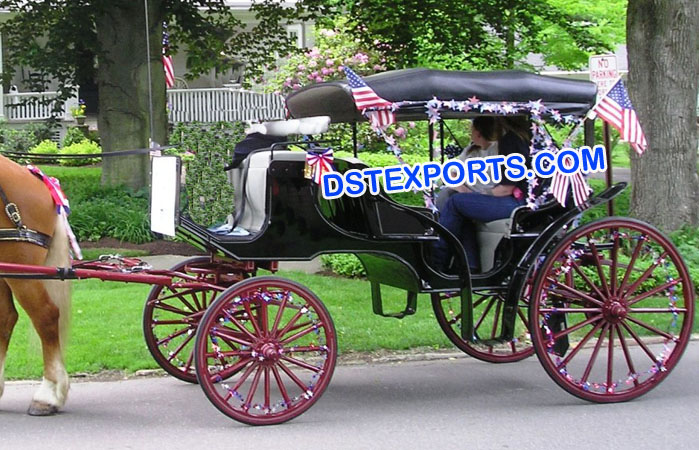 Traditional Indian Black Buggys Carriages