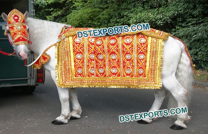 Indian Wedding Horse Decoration Dress