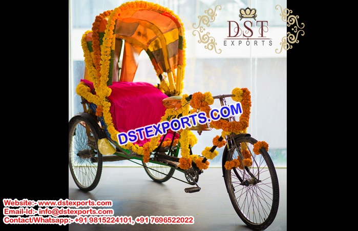 Best Punjabi Wedding Bride Entry Idea