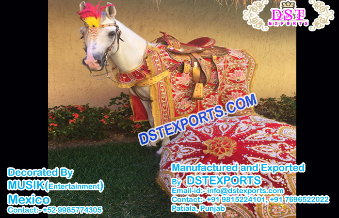 Traditional Indian Wedding Horse Costume Exporters