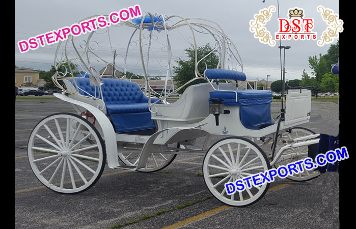 Royal Princess Wedding Cinderella Horse Carriages