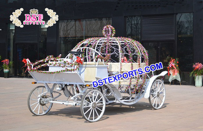 Chicago Wedding Cinderella Horse Carriage