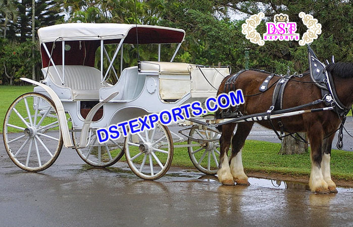 Canadian Victoria Horse Carriage Manufacturer