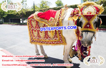 Indian Heavy Embrodried Horse Costume