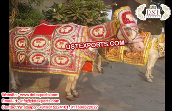 Indian Wedding Embroidered Horse Attire/Costume