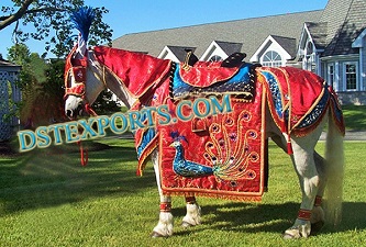 INDIAN WEDDING GHODI COSTUME