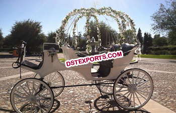 Beautiful Small Cinderella Carriage