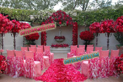 WEDDING NEW DESIGN ROSE CHAIR COVER