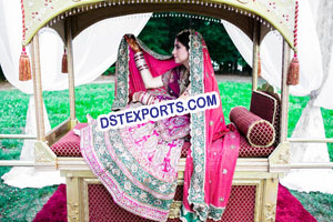 New Design Indian  Wedding Palki Doli