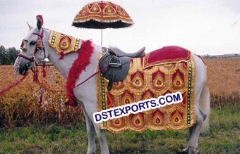 Indian Wedding Horse Decorations